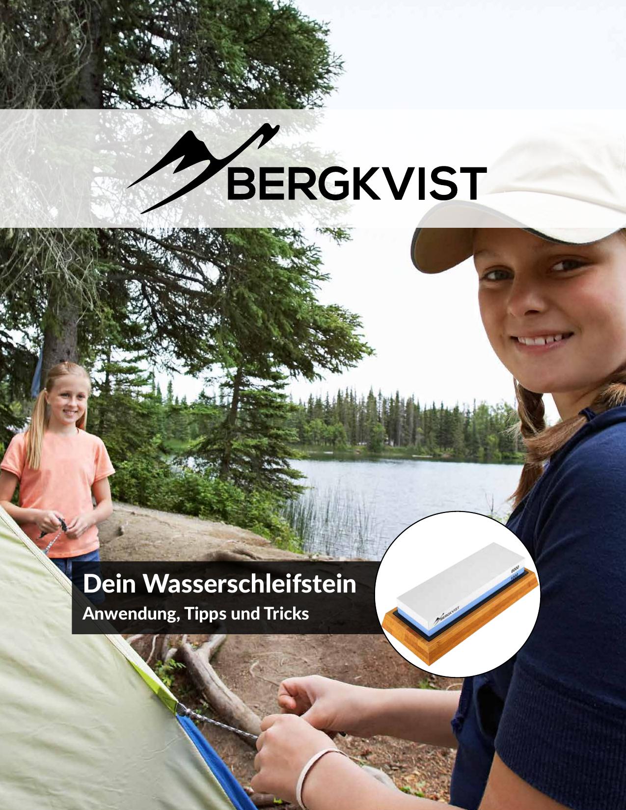 Schleifstein ebook